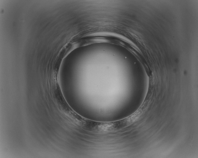 X0000070210172200605301411