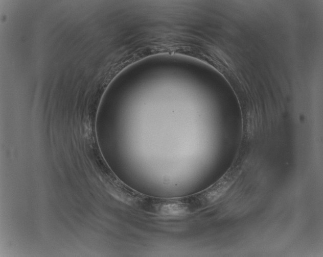 X0000070210173200605301411