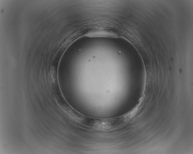 X0000070210174200605301411