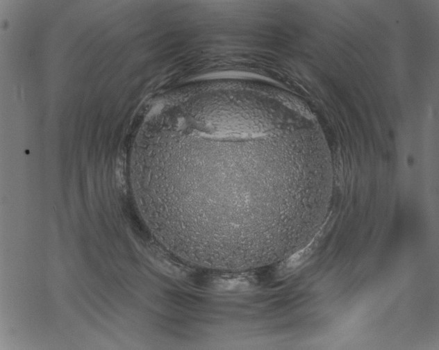 X0000070210175200605301411