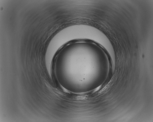 X0000070210176200605301411