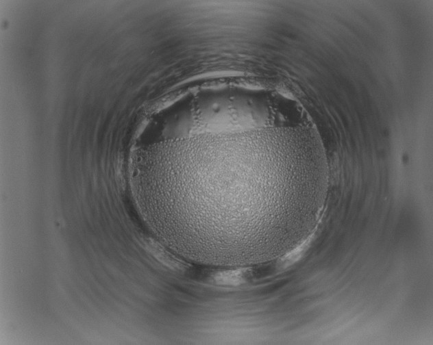 X0000070210178200605301411