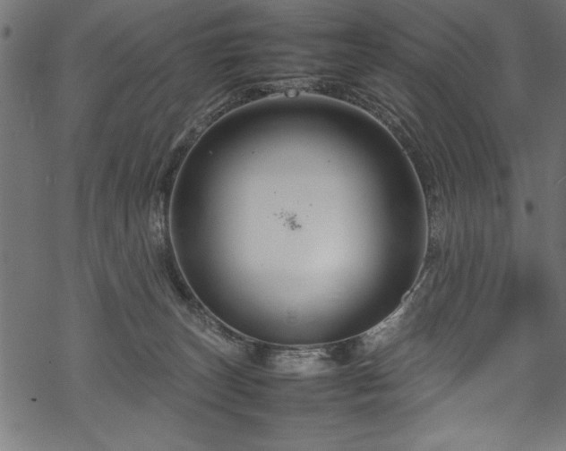 X0000070210179200605301411