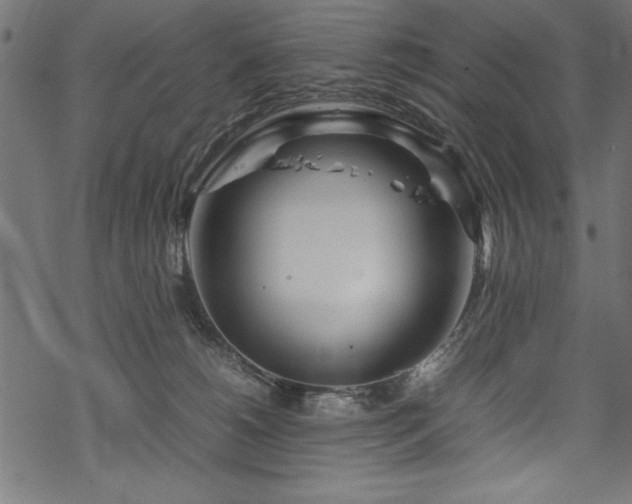 X0000070210180200605301411