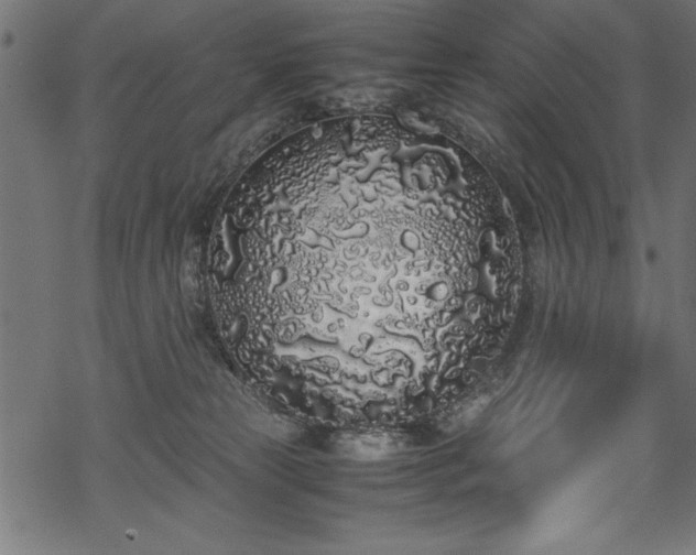 X0000070210181200605301411