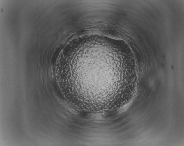 X0000070210182200605301411