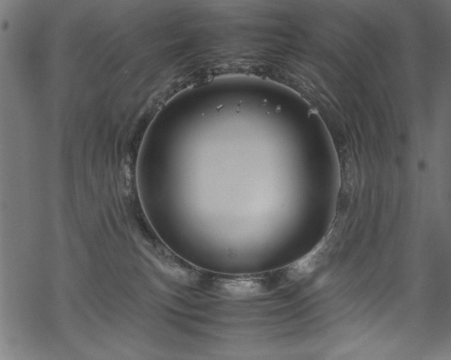 X0000070210183200605301411