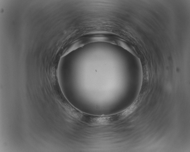 X0000070210184200605301411