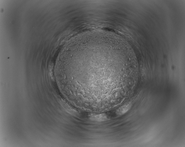 X0000070210185200605301411