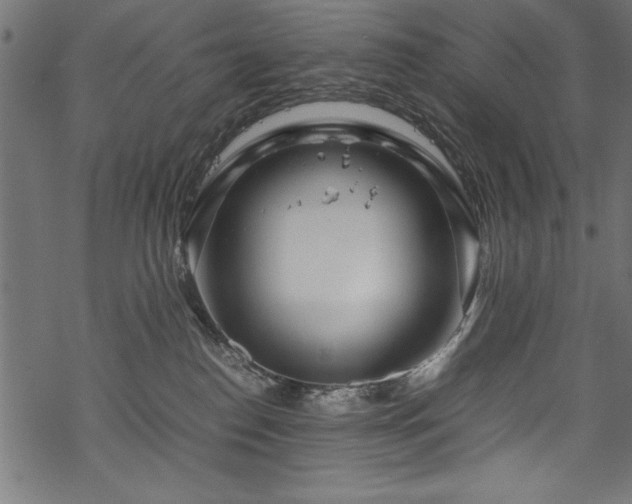 X0000070210186200605301411