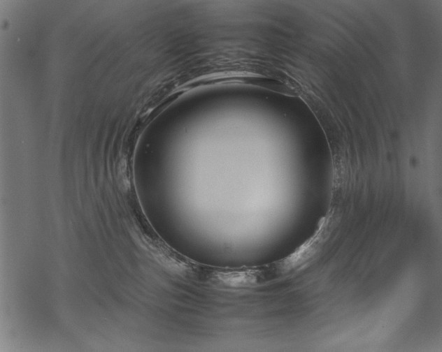 X0000070210187200605301411