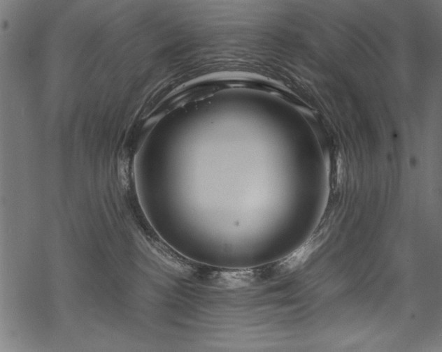 X0000070210188200605301411