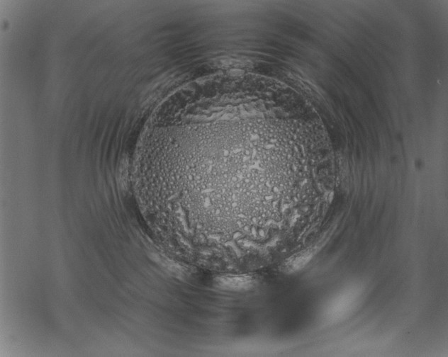 X0000070210189200605301411