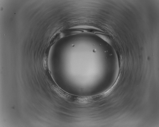 X0000070210190200605301412