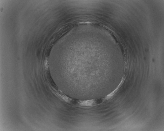 X0000070210191200605301412