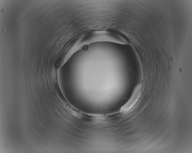 X0000070210192200605301412