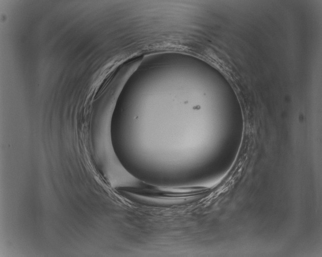 X0000070210193200605301411