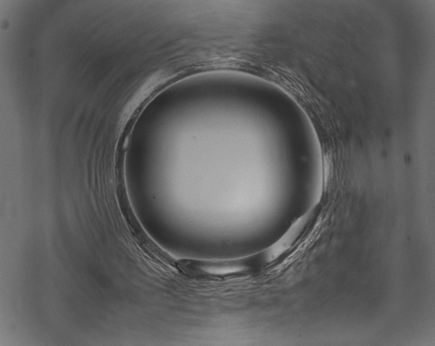 X0000070210195200605301411