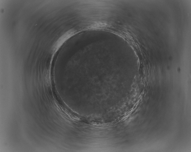 X0000070210196200605301411