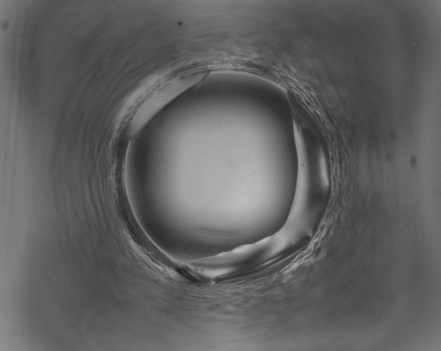 X0000070210197200605301411