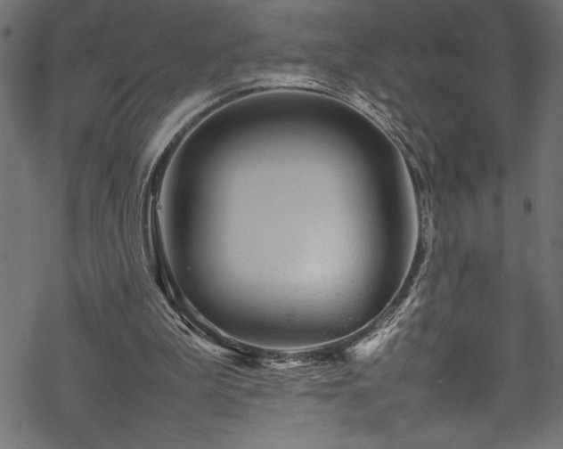 X0000070210199200605301411