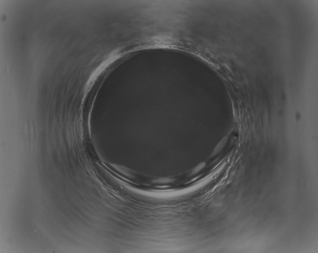 X0000070210200200605301411