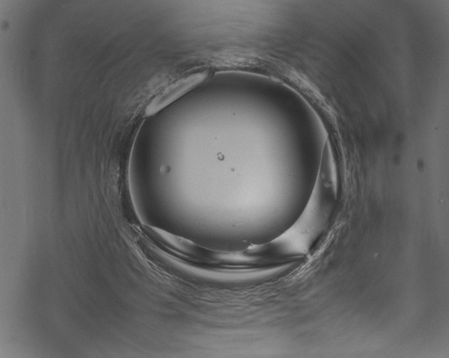 X0000070210201200605301411