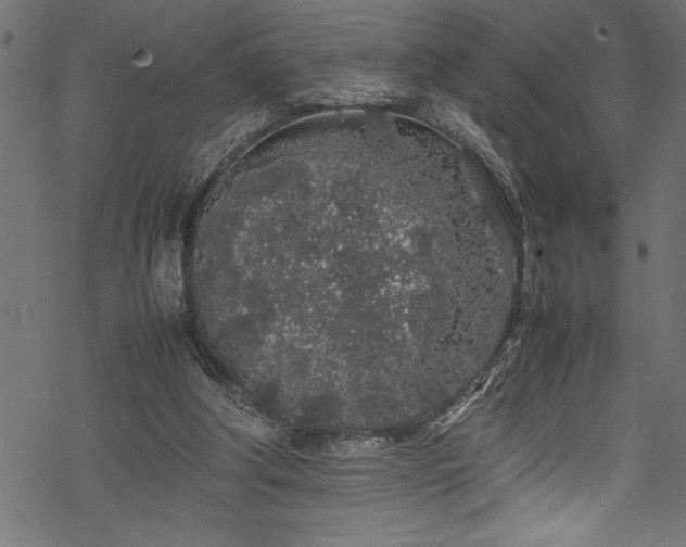 X0000070210202200605301411