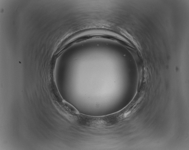 X0000070210203200605301411