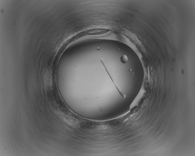 X0000070210204200605301411