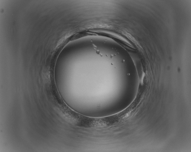 X0000070210207200605301411