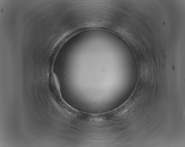 X0000070210208200605301411