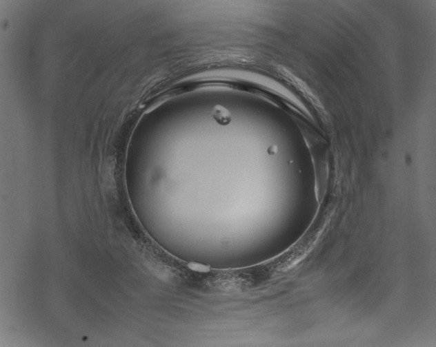 X0000070210209200605301410