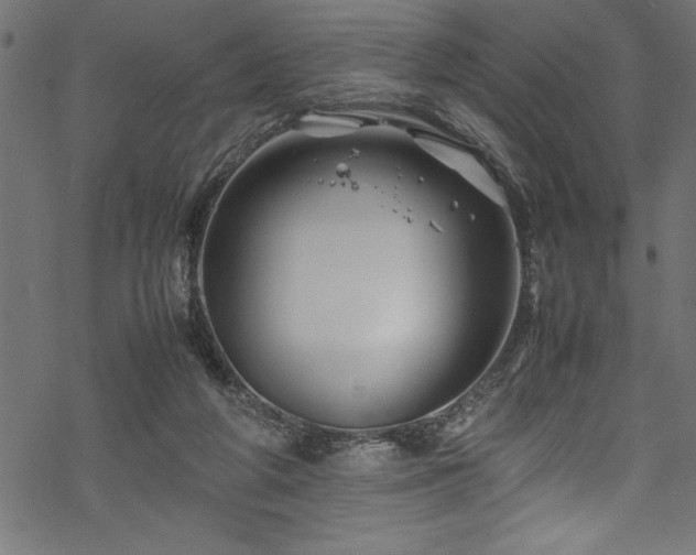 X0000070210210200605301410