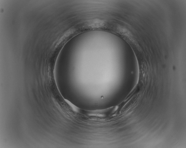 X0000070210212200605301410