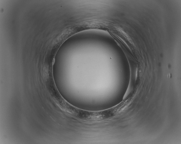 X0000070210213200605301410