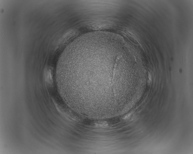 X0000070210214200605301410