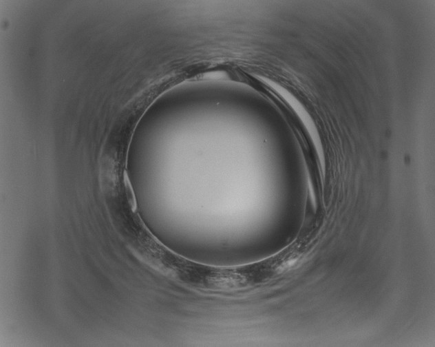 X0000070210215200605301410