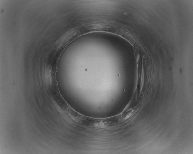 X0000070210216200605301410