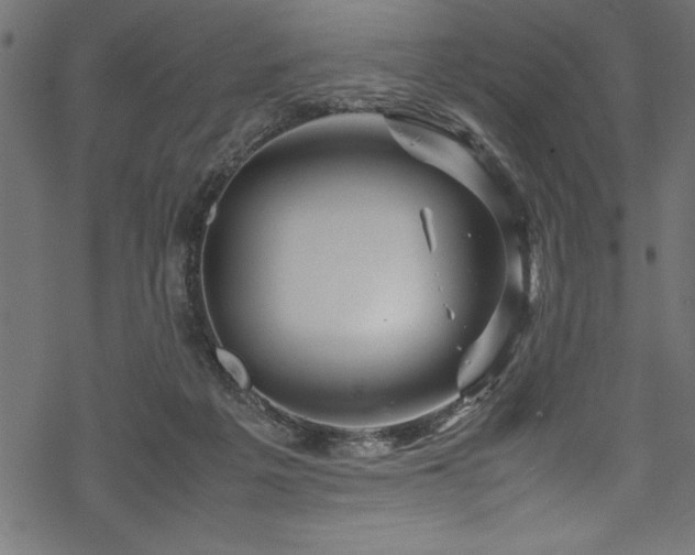 X0000070210217200605301410