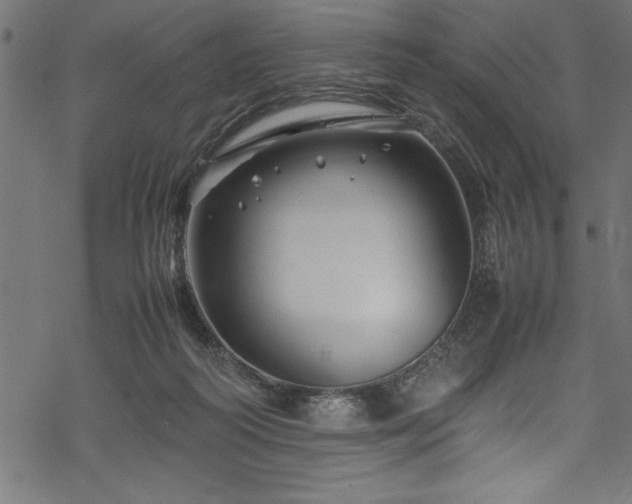 X0000070210218200605301410