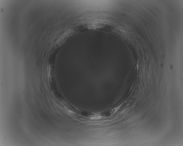 X0000070210219200605301410