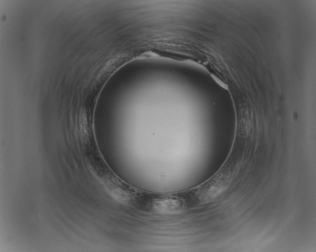 X0000070210220200605301410