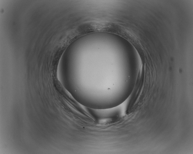 X0000070210221200605301410