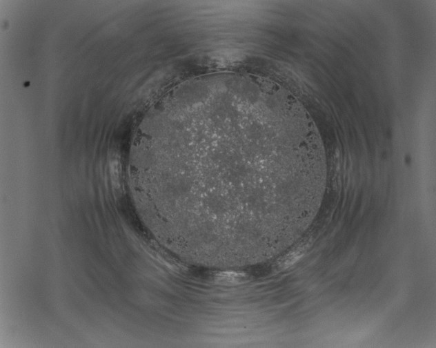 X0000070210222200605301410