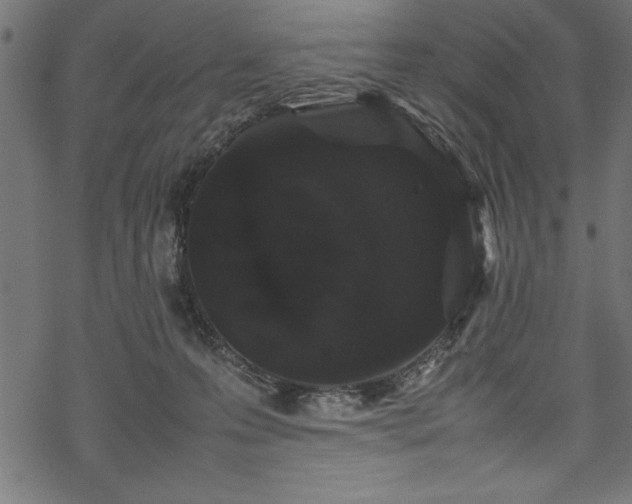 X0000070210223200605301410