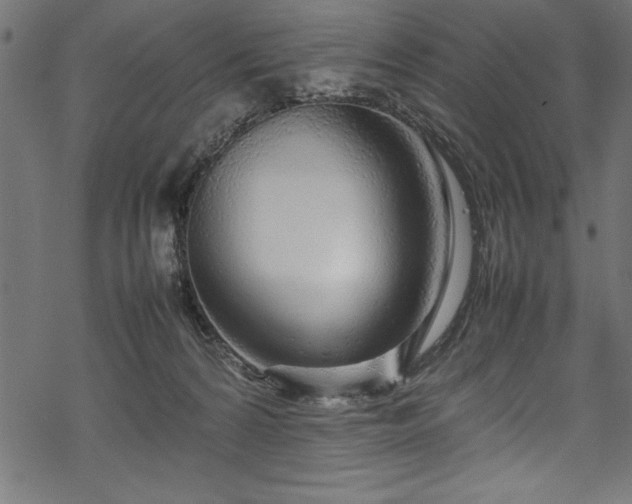 X0000070210224200605301410