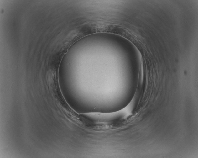 X0000070210225200605301410