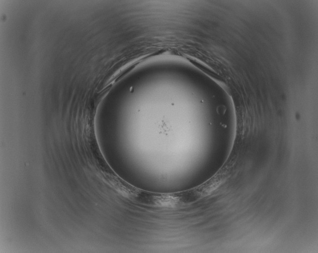 X0000070210226200605301410