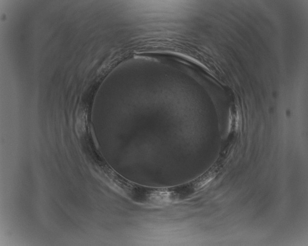 X0000070210227200605301410